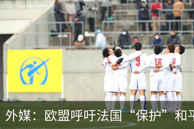 外媒：欧盟呼吁法国“保护”和平示威权利，并谴责暴力