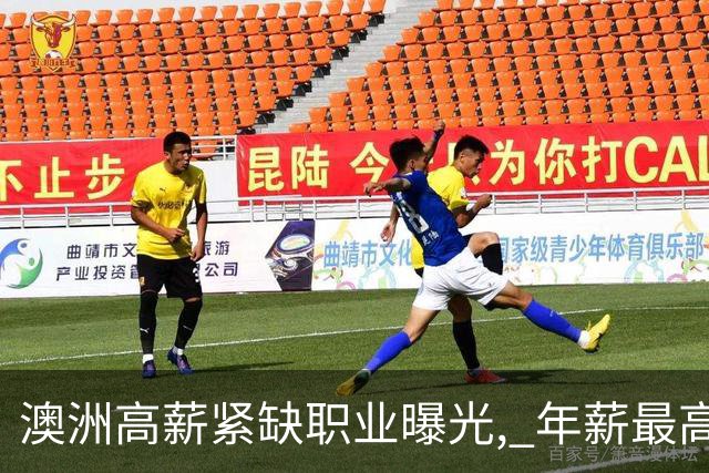 澳洲高薪紧缺职业曝光, 年薪最高$20万! 扩招94%, 实在太缺人